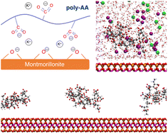 Graphical abstract: A molecular dynamics study on adsorption mechanisms of polar, cationic, and anionic polymers on montmorillonite