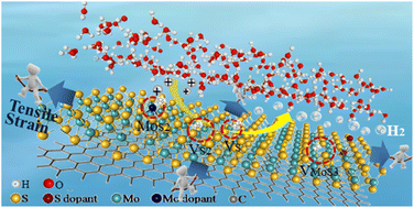 Graphical abstract: Defect and strain engineered MoS2/graphene catalyst for an enhanced hydrogen evolution reaction