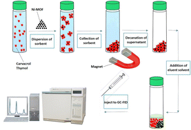 Graphical abstract: Synthesis of a new magnetic metal organic framework based on nickel for extraction of carvacrol and thymol in thymus and savory samples and analyzed with gas chromatography