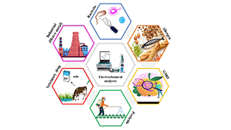 Graphical abstract: Iron/iron oxide-based magneto-electrochemical sensors/biosensors for ensuring food safety: recent progress and challenges in environmental protection