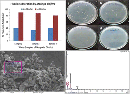 Graphical abstract: Thermal plasma processing of Moringa oleifera biochars: adsorbents for fluoride removal from water