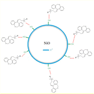 Graphical abstract: Delivery of anti-cancer and anti-depression doxepin drug by nickel oxide nanoparticles originated from the Cressa nudicaulis plant extract