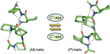 Graphical abstract: Impact of aza-substitutions on the preference of helix handedness for β-peptide oligomers: a DFT study