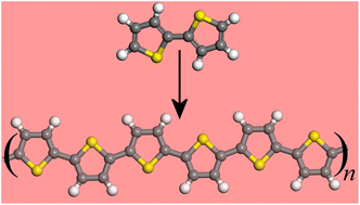 Graphical abstract: Vibrational spectra of neutral and doped oligothiophenes and polythiophene