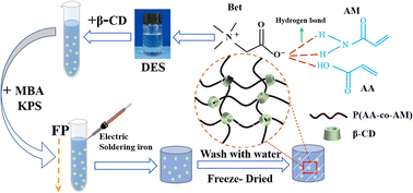 Graphical abstract: Preparation of novel β-CD/P(AA-co-AM) hydrogels by frontal polymerization