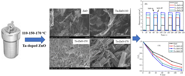 Graphical abstract: One-step hydrothermal preparation of Ta-doped ZnO nanorods for improving decolorization efficiency under visible light