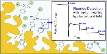 Graphical abstract: Electrochemical detection of fluoride ions in water with nanoporous gold modified by a boronic acid terminated self-assembled monolayer