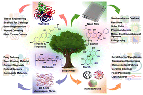 Graphical abstract: Green nanobiopolymers for ecological applications: a step towards a sustainable environment