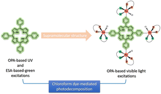 Graphical abstract: Supramolecular porphyrin as an improved photocatalyst for chloroform decomposition