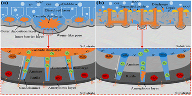 Graphical abstract: Mechanism of tetraborate and silicate ions on the growth kinetics of microarc oxidation coating on a Ti6Al4V alloy