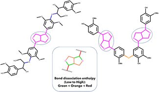 Graphical abstract: Investigation of the thermal deconstruction of β–β′ and 4-O-5 linkages in lignin model oligomers by density functional theory (DFT)