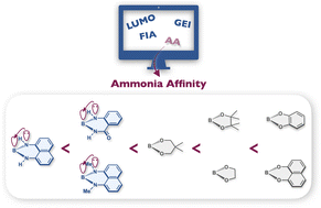 Graphical abstract: Computed ammonia affinity for evaluating Lewis acidity of organoboronates and organoboronamides