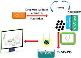 Graphical abstract: A highly explicit electrochemical biosensor for catechol detection in real samples based on copper-polypyrrole