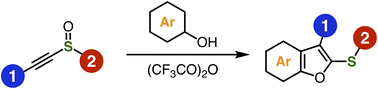 Graphical abstract: Synthesis of benzo[b]furans from alkynyl sulfoxides and phenols by the interrupted Pummerer reaction