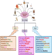 Graphical abstract: Marine organisms as potential sources of natural products for the prevention and treatment of malaria