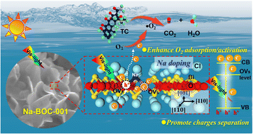 Graphical abstract: Crystal facet and Na-doping dual engineering ultrathin BiOCl nanosheets with efficient oxygen activation for enhanced photocatalytic performance