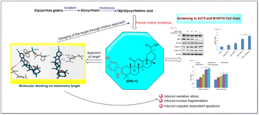 Graphical abstract: Synthesis, molecular docking, and biological evaluation of [3,2-b]indole fused 18β-glycyrrhetinic acid derivatives against skin melanoma