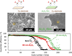 Graphical abstract: Mechanistic study of Al2O3 coating effects on lithium deposition and dissolution reaction