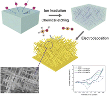 Graphical abstract: Three-dimensional free-standing gold nanowire networks as a platform for catalytic applications