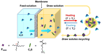 Graphical abstract: Effect of cation alkyl chain length on 3-sulfopropylmethacrylate-based draw solutes having lower critical solution temperature