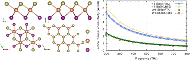 Graphical abstract: Phonon transport in Janus monolayer siblings: a comparison of 1T and 2H-ISbTe