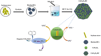 Graphical abstract: Biochar loaded with cobalt ferrate activated persulfate to degrade naphthalene