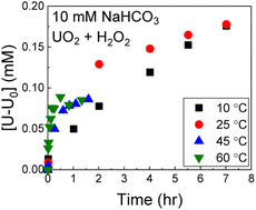 Graphical abstract: UO2 dissolution in bicarbonate solution with H2O2: the effect of temperature
