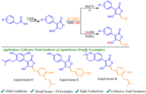Graphical abstract: Collective synthesis of aspulvinone and its analogues by vinylogous aldol condensation of substituted tetronic acids with aldehydes