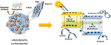 Graphical abstract: Visible-light driven p–n heterojunction formed between α-Bi2O3 and Bi2O2CO3 for efficient photocatalytic degradation of tetracycline