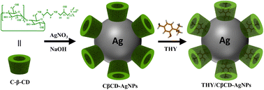 Graphical abstract: Synthesis of cationic β-cyclodextrin functionalized silver nanoparticles and their drug-loading applications