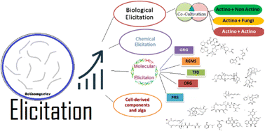 Graphical abstract: Elicitation for activation of the actinomycete genome's cryptic secondary metabolite gene clusters
