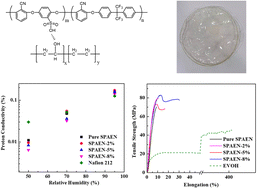 Graphical abstract: Modification of sulfonated poly(arylene ether nitrile) proton exchange membranes by poly(ethylene-co-vinyl alcohol)
