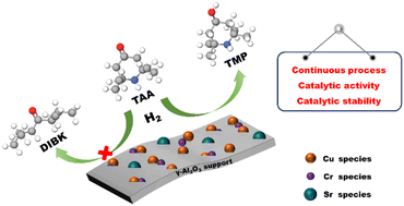 Graphical abstract: Continuous synthesis of 2,2,6,6-tetramethyl-4-piperidinol over CuCrSr/Al2O3: effect of Sr promoter