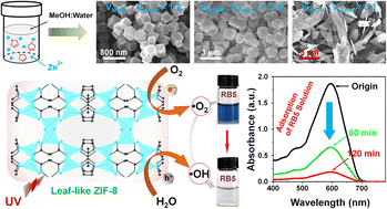 Graphical abstract: Highly efficient degradation of reactive black KN-B dye by ultraviolet light responsive ZIF-8 photocatalysts with different morphologies