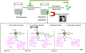 Graphical abstract: Optimal preparation of a core–shell structural magnetic nanoadsorbent for efficient tetracycline removal