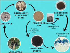Graphical abstract: A cradle to cradle approach towards remediation of uranium from water using carbonized arecanut husk fiber