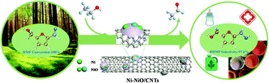 Graphical abstract: Highly efficient Ni–NiO/carbon nanotubes catalysts for the selective transfer hydrogenation of 5-hydroxymethylfurfural to 2,5-bis(hydroxymethyl)furan