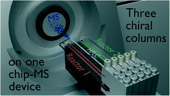 Graphical abstract: An integrated resource-efficient microfluidic device for parallelised studies of immobilised chiral catalysts in continuous flow via miniaturized LC/MS-analysis