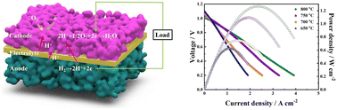 Graphical abstract: A promising Ruddlesden–Popper oxide cathode for both proton-conducting and oxygen ionic-conducting solid oxide fuel cells