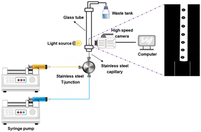 Graphical abstract: A novel observation platform for determining the micro-dispersion performance in practical reaction systems