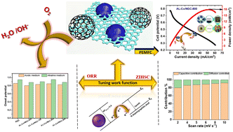 Graphical abstract: An electron “donor–acceptor–donor” strategy to activate ZIF-67 as a cathode material for fuel cells and zinc ion hybrid supercapacitor