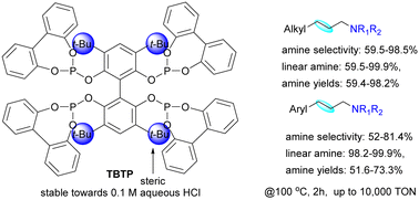 Graphical abstract: Selective and stable tetraphosphite for Rh-catalyzed linear hydroaminomethylation of aliphatic and aromatic terminal olefins