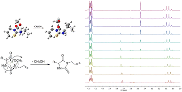 Graphical abstract: Kinetics and mechanism of amino acid derived 2-thiohydantoin formation reactions