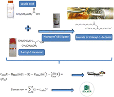 Graphical abstract: A methodology, Excel Solver tool based, to determine the kinetic parameters of enzymatic ping-pong reactions: application to an esterification reaction
