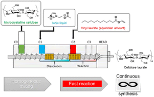 Graphical abstract: Continuous process of cellulose dissolution and transesterification reaction catalysed by ionic liquid in twin screw extruder