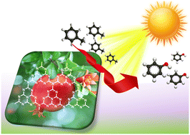 Graphical abstract: Sustainable and green synthesis of C- and N-doped nanoporous g-C3N4: powerful sunlight-responsive photocatalysts for aerobic oxidation of toluene