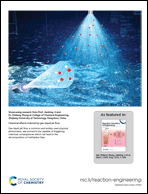 Graphical abstract: Back cover