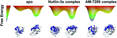 Graphical abstract: Energetics of a protein disorder–order transition in small molecule recognition