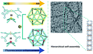 Graphical abstract: Supramolecular cuboctahedra with aggregation-induced emission enhancement and external binding ability