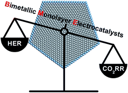 Graphical abstract: Circumventing the scaling relationship on bimetallic monolayer electrocatalysts for selective CO2 reduction